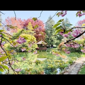 Meet your Posher, Natalie